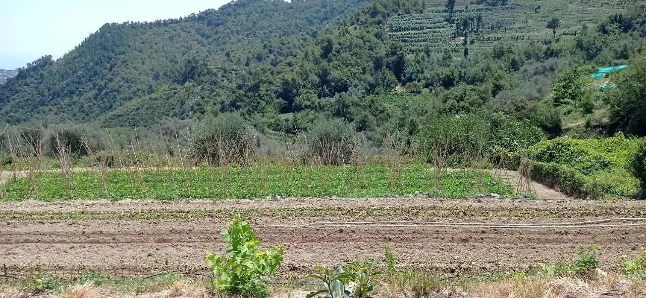 Agriturismo Vecchio Frantoio Villatella 0*,
